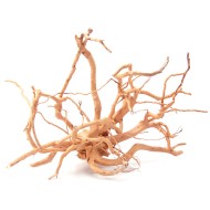 Коряга Азалия 30-45 см