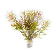 Лимнофила ароматика (Limnophila aromatica)