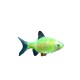 Barbus GloFish verde  (Puntius tetrazona Glofish)