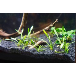 Базальтовый черный грунт 2-5 мм Базальтовый черный грунт 2-5 мм