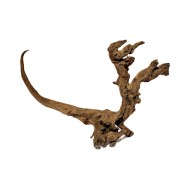 Натуральная коряга Coral Driftwood