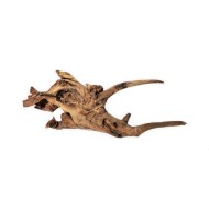 Натуральная коряга Coral Driftwood Натуральная коряга Coral Driftwood