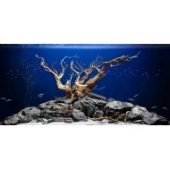 Коряга Азалия 30-45 см