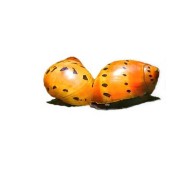 Неритина красная красноточечная (Neritina Red Spotted Snail) Неритина красная красноточечная (Neritina Red Spotted Snail)